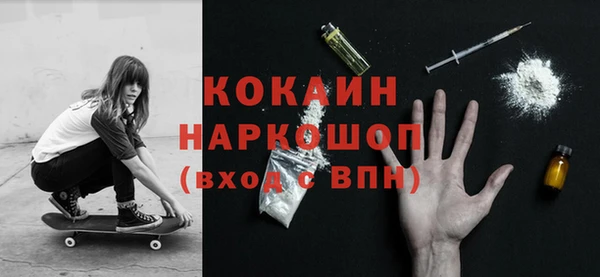 ешки Снежногорск