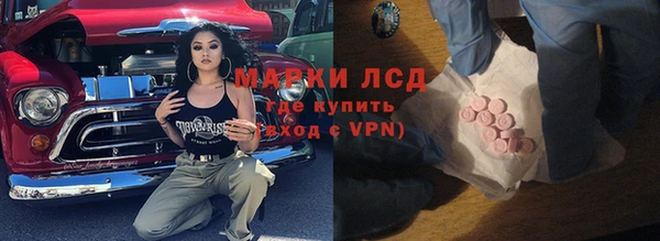 ешки Снежногорск