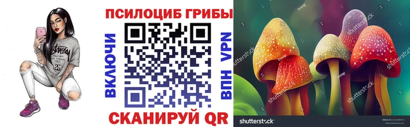 закладки  Калязин  Галлюциногенные грибы GOLDEN TEACHER 